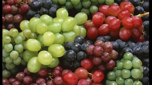 Bolivia prohibirá la importación de uva, singanis y vinos
