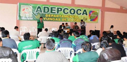 Cocaleros de Los Yungas consideran que Evo Morales les mintió sobre sobre ley de coca