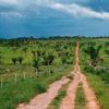 Santa Cruz se quedará sin agua por deforestación y tala indiscriminada Santa Cruz se quedará sin agua por deforestación y tala indiscriminada