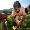 La producción de hoja de coca genera 675.149 empleos de baja calidad La producción de hoja de coca genera 675.149 empleos de baja calidad