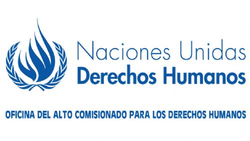 Bolivia no renovó convenio con Derechos Humanos de ONU y podrían abandonar el país