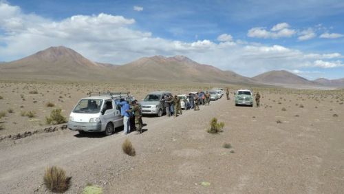 Carabineros de Chile detiene a 15 bolivianos que llevaban 11 vehículos chutos