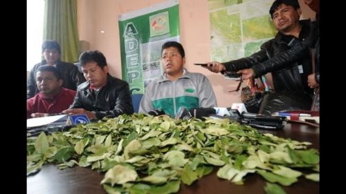 Gobierno denuncia que cocaleros de Yungas recolectan Bs 10 millones anuales en cobros ilegales