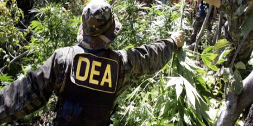 Evo Morales dice que donde exista DEA y bases militares de EEUU crece narcotráfico