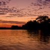 El Gobierno permitirá que cooperativas mineras exploten oro en el río Madre de Dios El Gobierno permitirá que cooperativas mineras exploten oro en el río Madre de Dios