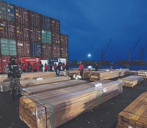 Falso positivo sobre madera costó millones y frenó exportaciones