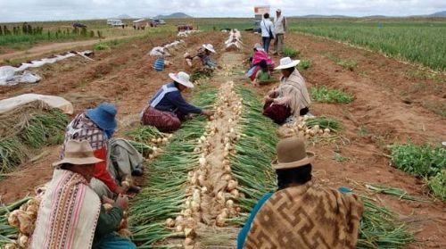 INE confirma crecimiento nulo del sector agropecuario y manufacturero en Bolivia