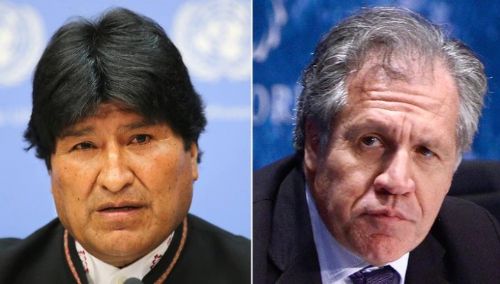 Evo Morales confiesa que intentó frenar la publicación del informe de la OEA sobre fraude en Bolivia